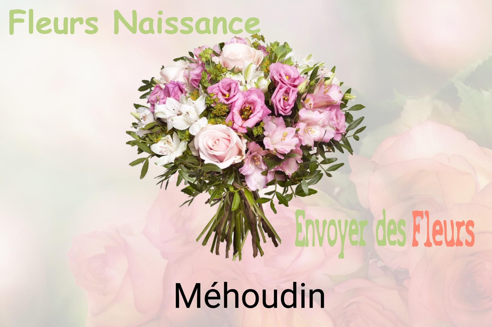 Bouquet de fleurs de naissance livré à Méhoudin